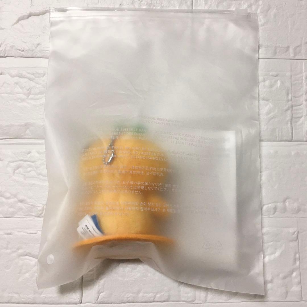 MINITEEN BBOOGYULI スングァン PLUSH KEYRING