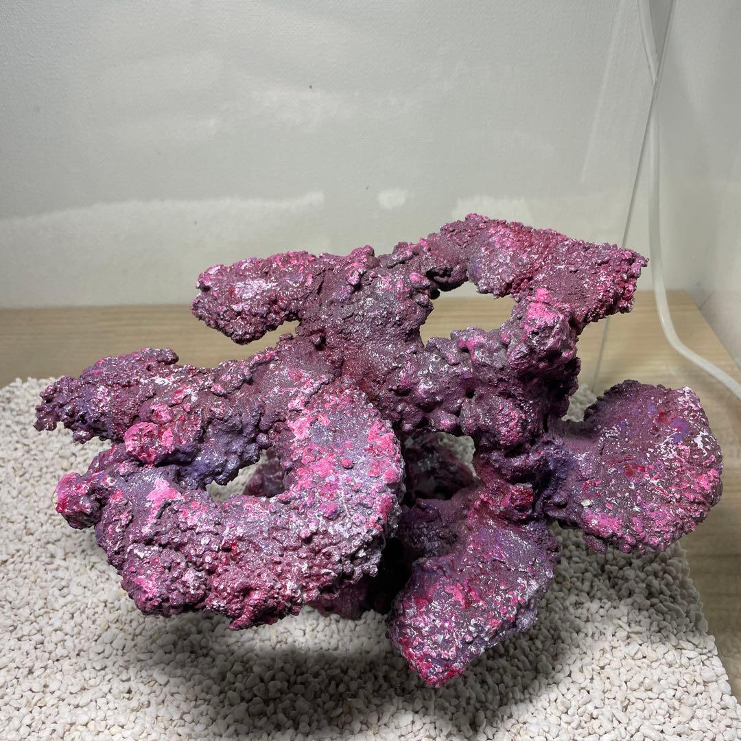 現物在庫SALE‼︎人工ライブロック　SHR23 アク抜き済み安心塗料使用