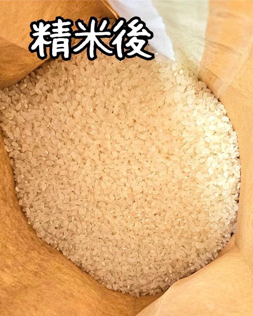 ★数量限定★ 令和7年度産　山形県産 はえぬき　30キロ 玄米 お米