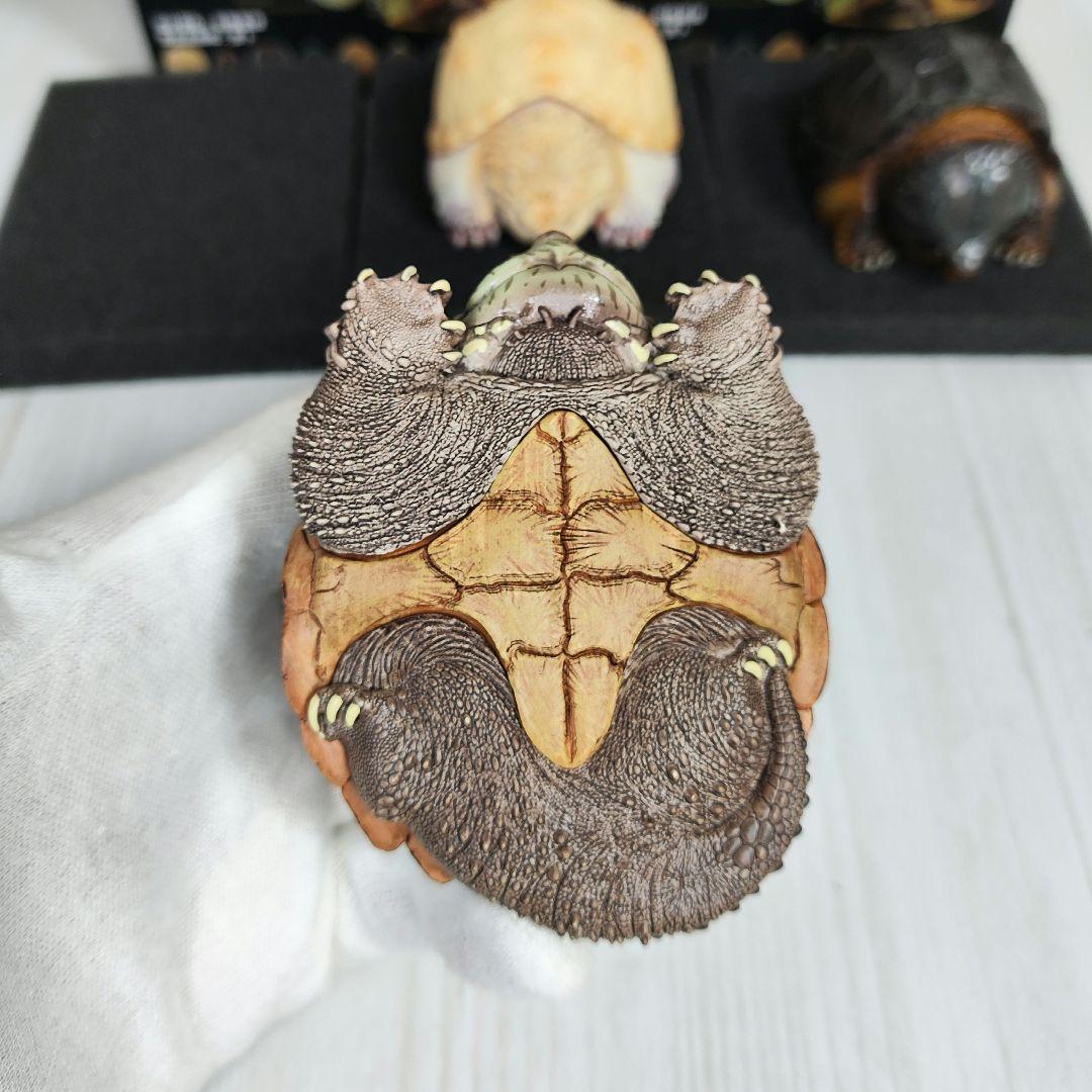 【動物の惑星】★激レア★第1弾亀廃盤品ワニガメ+カミツキガメ!! フィギュア