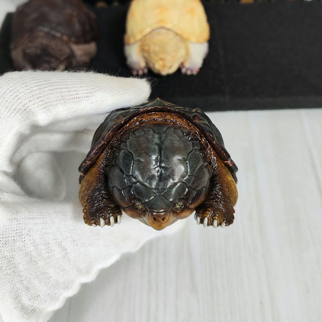 【動物の惑星】★激レア★第1弾亀廃盤品ワニガメ+カミツキガメ!! フィギュア