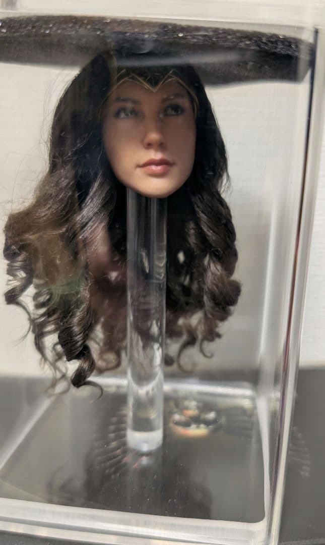 ワンダーウーマン ホットトイズ ワーナー・ブラザーズ100周年1/6フィギュア