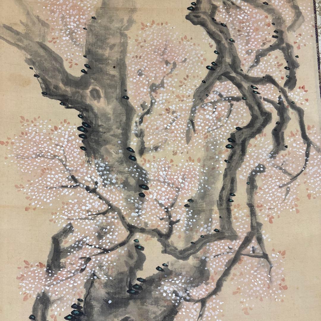 武士と桜 丹水渔人养正 a7