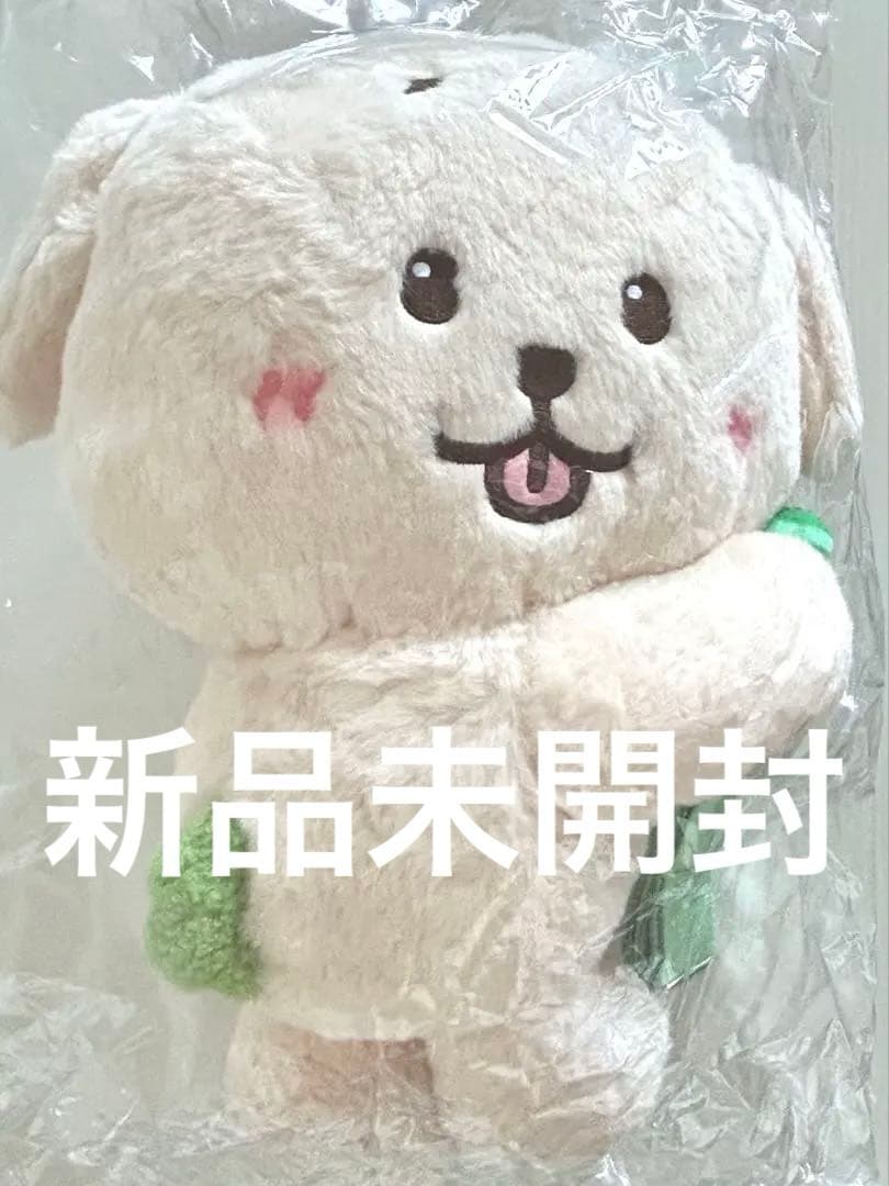 NCTWISH ジェヒ デントリバー バッグ カバン キャラクター 新品未開封