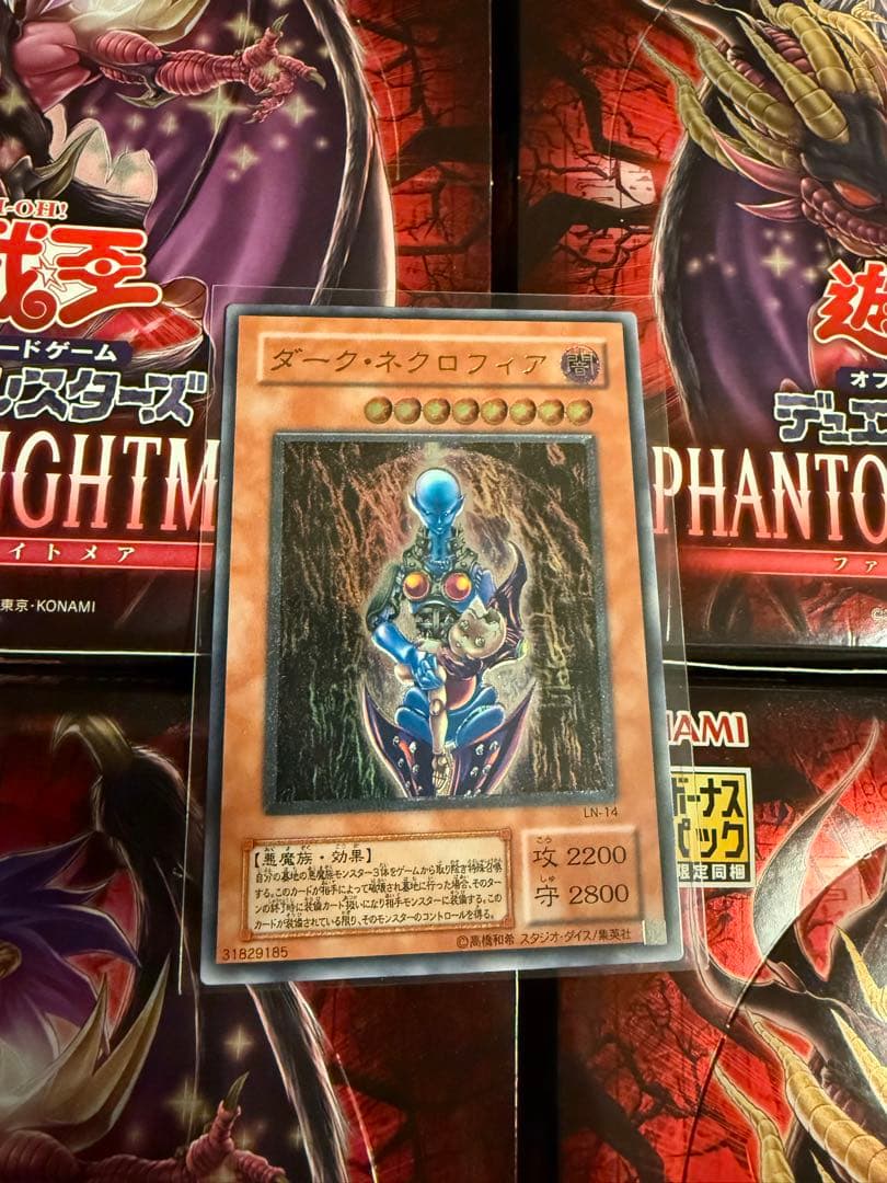 遊戯王　極美品　ダークネクロフィア レリーフ