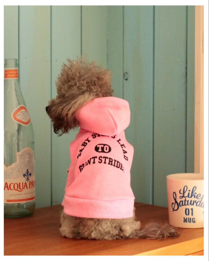 アトリエGG ベイビーカレッジパーカー(ガールズ) 19ハーフ