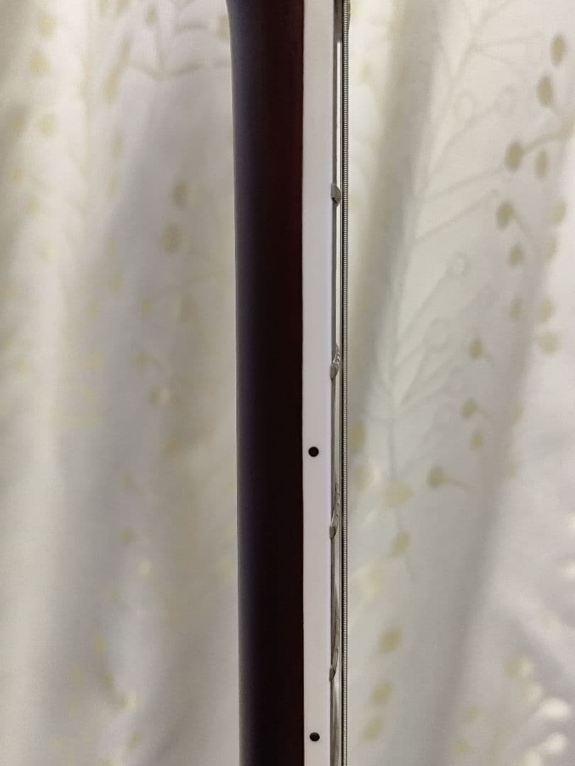 ギター Bacchus BARON-FM