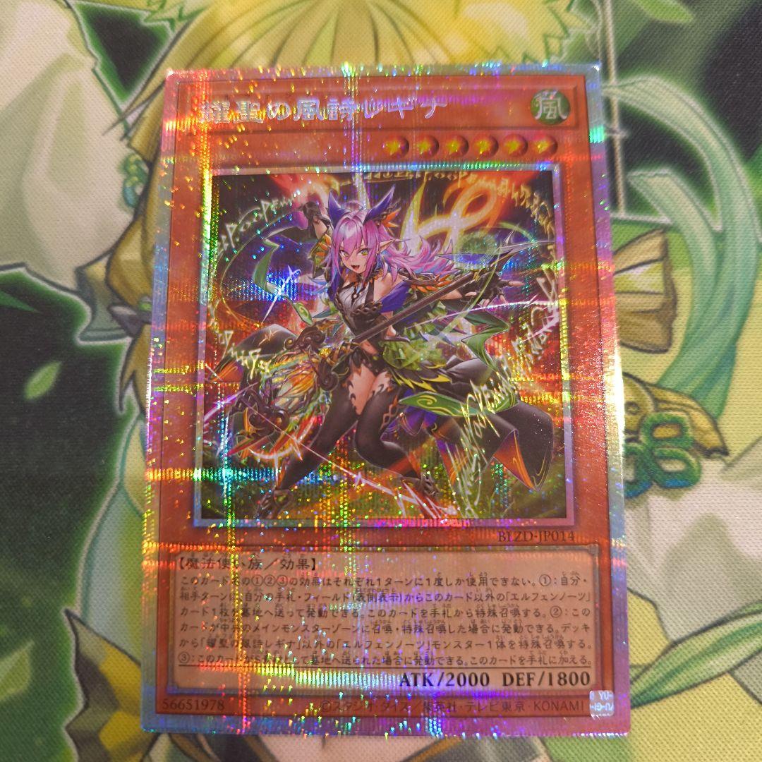 エルフェンノーツ　レギナ　プリシク