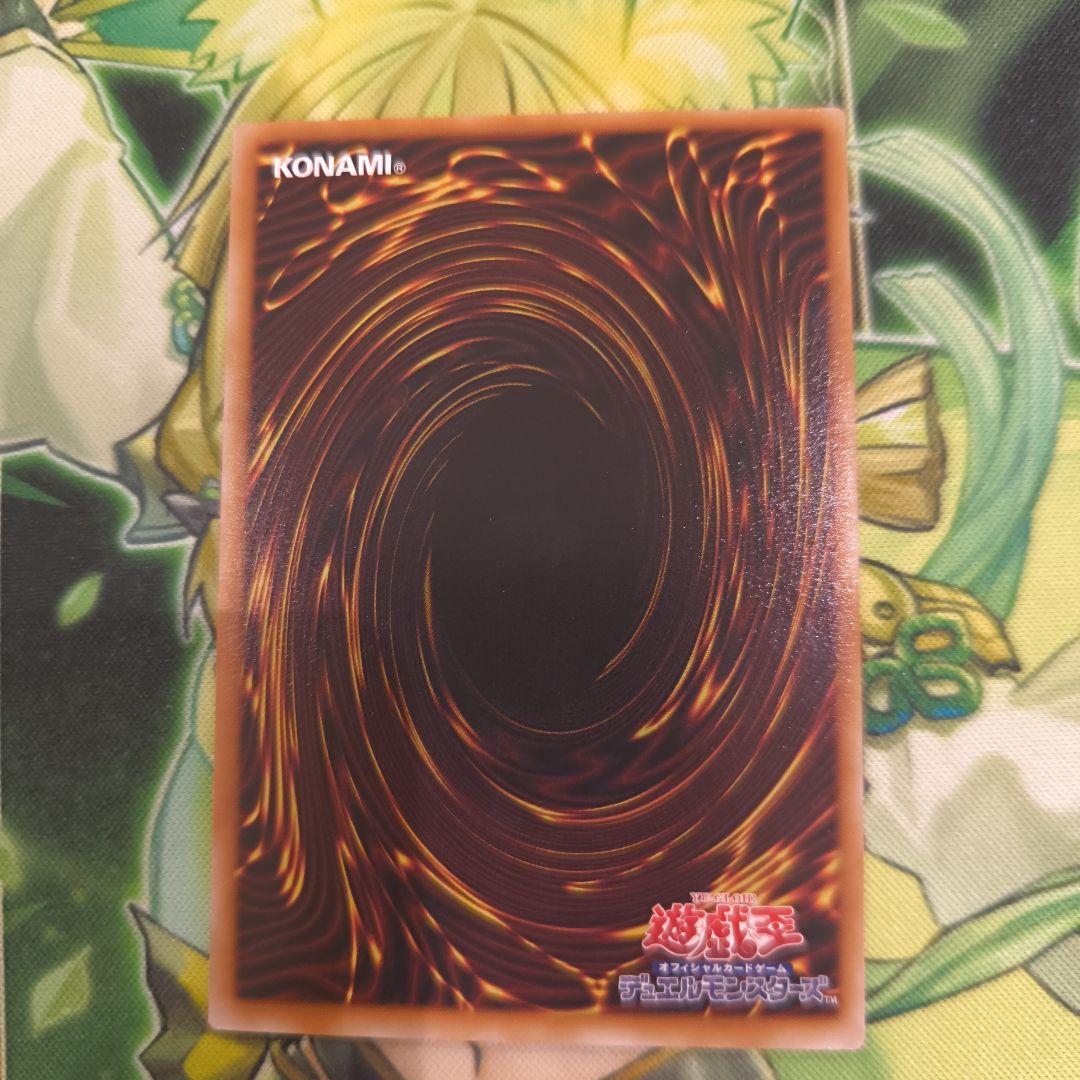 エルフェンノーツ　レギナ　プリシク