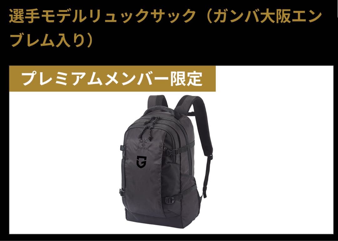 【最終価格】ガンバ大阪 選手モデルリュックサック