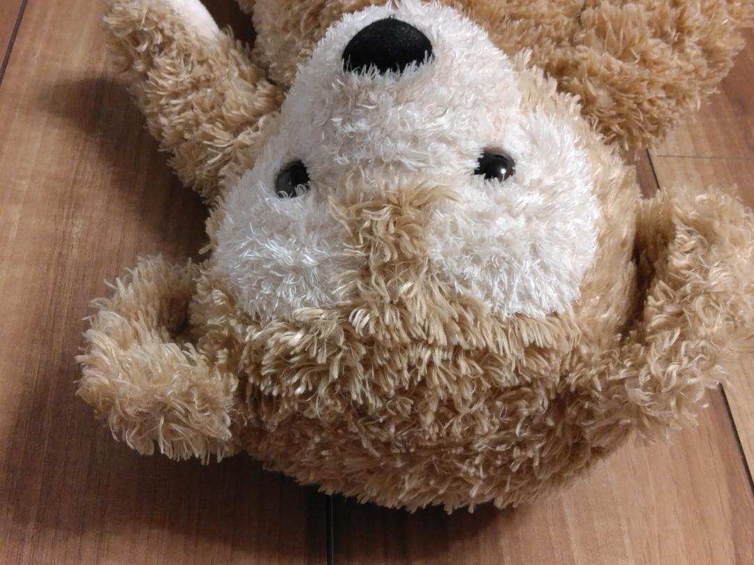 【美品、超レア】初期ダッフィーぬいぐるみ2004～2005購入　ビーズ入り白タグ