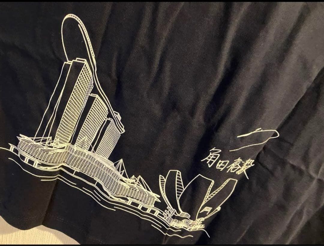 F1シンガポール　角田裕毅