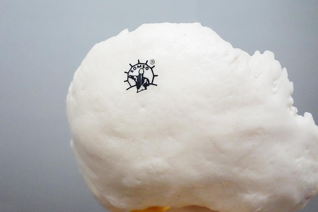 somso社製の脊柱模型 Z44