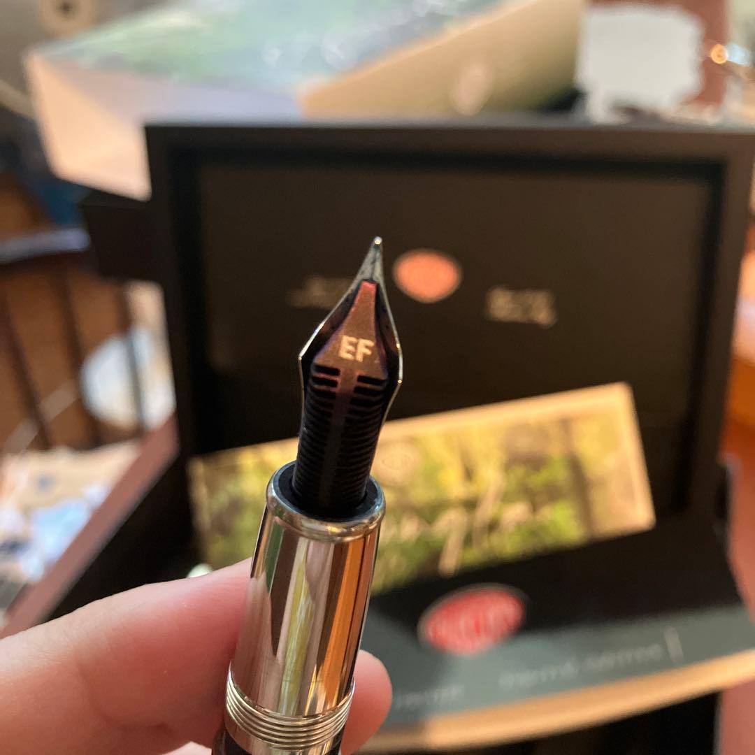 アウロラ　万年筆　ジュングラ　アンビエンテ　EF