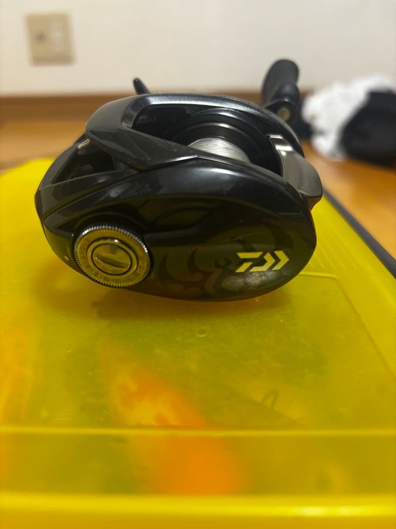 24タトューラSVTW 100XH 23SLXDC 70HG ベイトリール