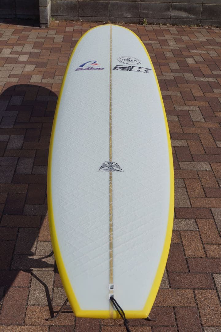 サーフィン・ロングボード、プロ使用