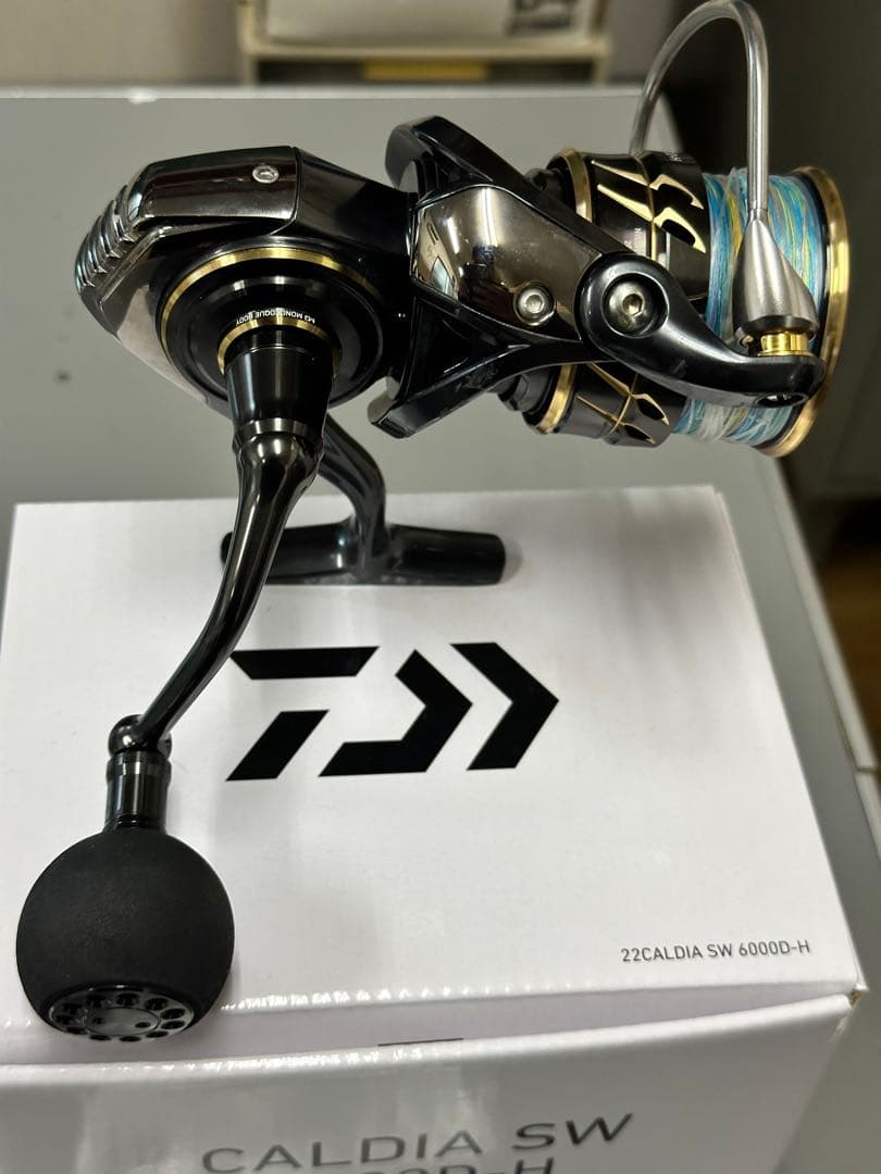 リール DAIWA 22CALDIA SW 6000D-H