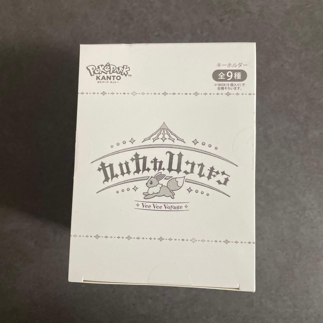 ポケパークカントー　イーブイズ　アクリルキーホルダー　フルコンプセット　コンプ