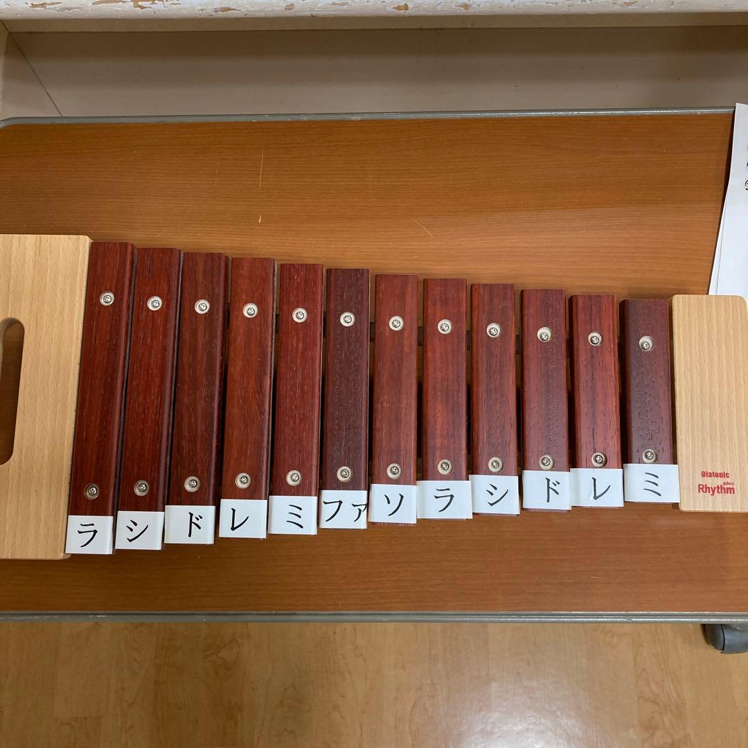 DLM Rhythm木琴12音