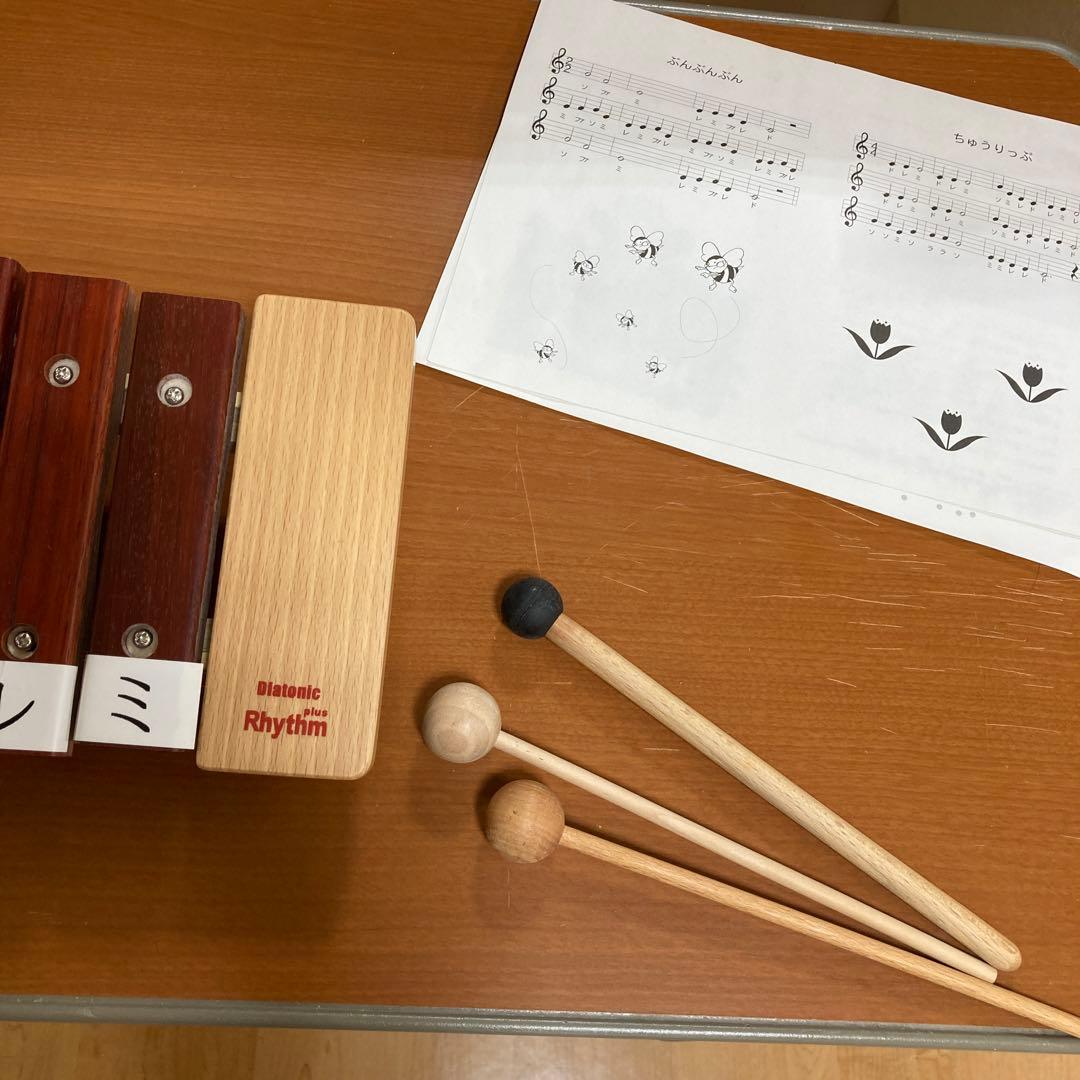 DLM Rhythm木琴12音