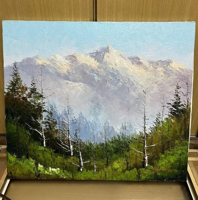 穂高連峰 英樹? ？樹？ 油彩画　油絵　額装　風景画　真作 インテリア