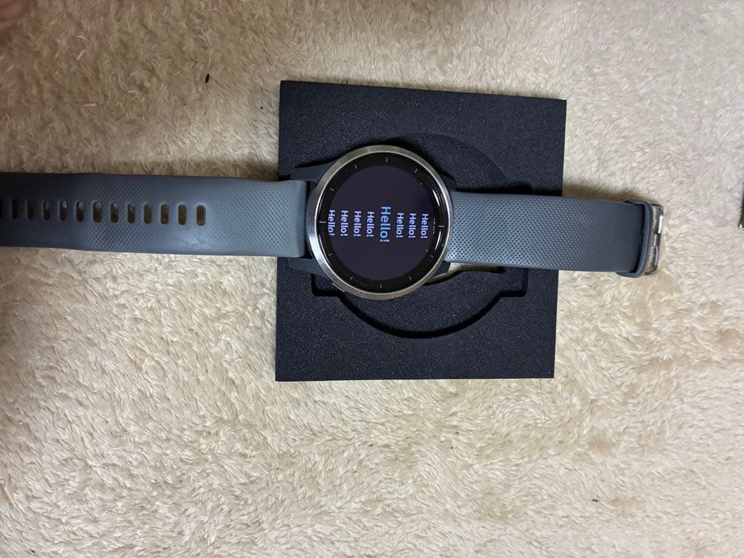 ガーミンvivoactive4 garmin 美品