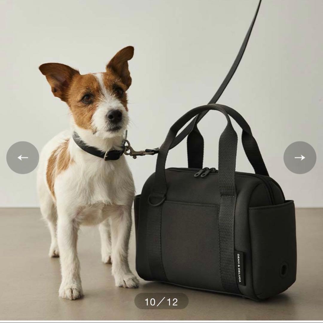 ディーンアンドデルーカ シティドッグ