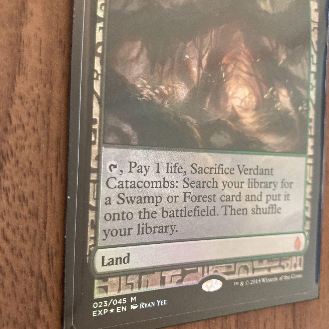 MTG マジック・ザ・ギャザリング　新緑の地下墓地　foil