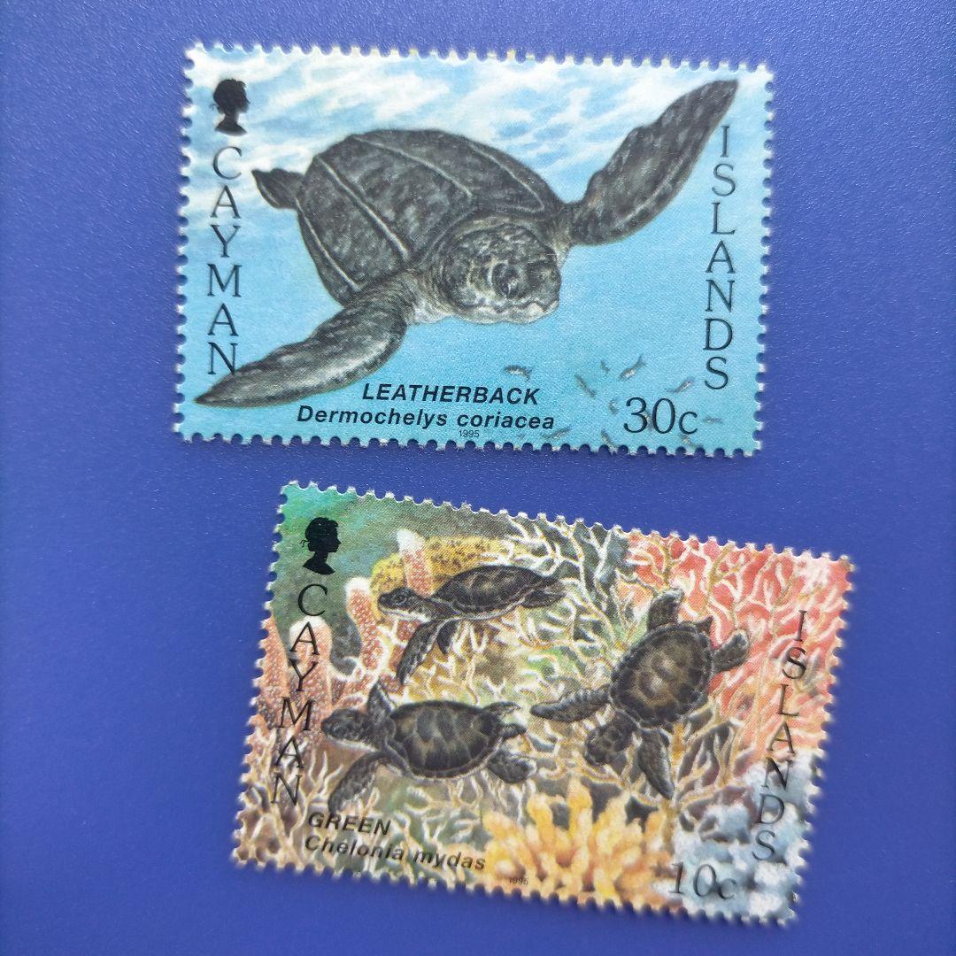 3861 外国切手 ケイマン諸島 1995年 ウミガメ 6種完