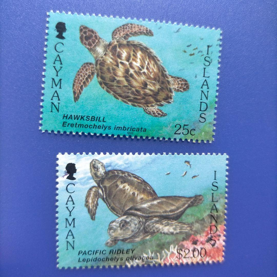3861 外国切手 ケイマン諸島 1995年 ウミガメ 6種完