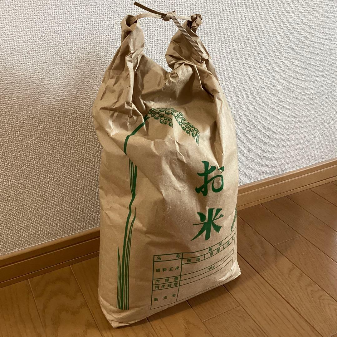 【新品】はえぬき 白米 無洗米 10kg 米 山形県産 お米 10キロ 新米