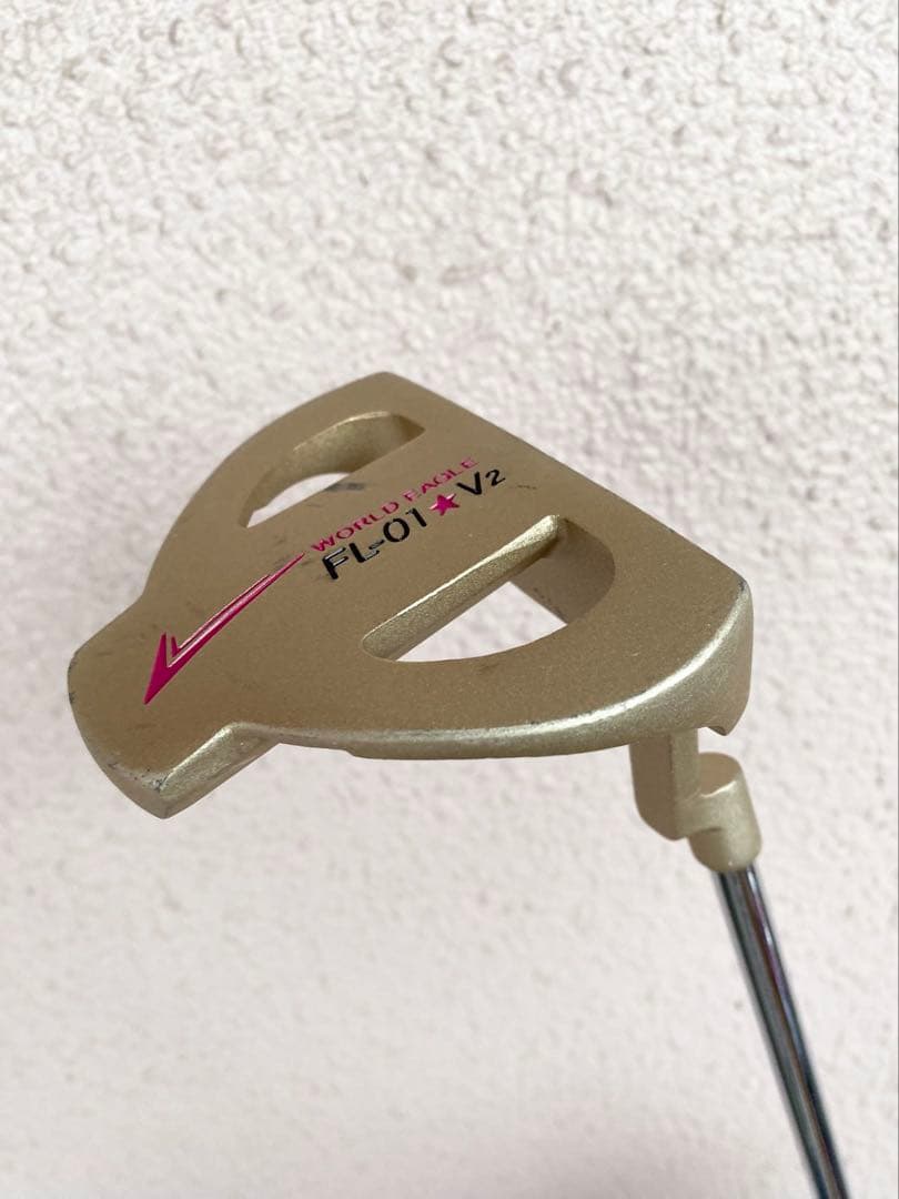 WORLD EAGLE ゴルフクラブセット 10本キャディバックレディース