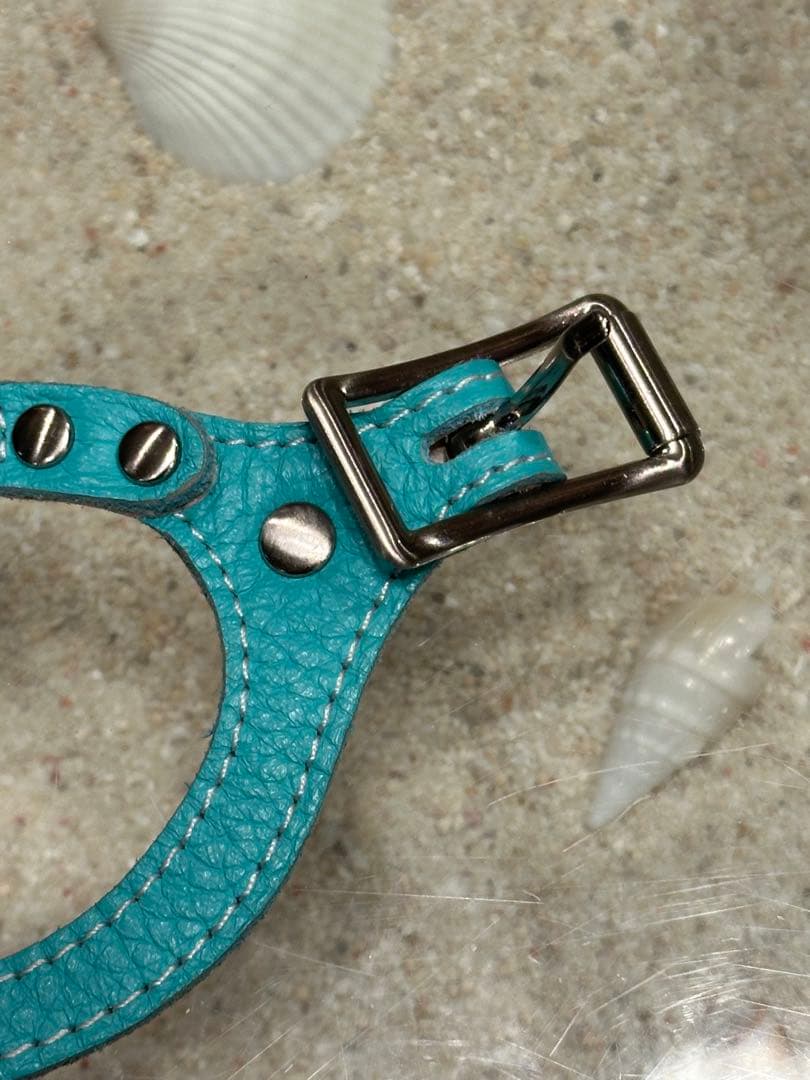 BB バディーベルト　ロビンズエッグブルー 2号