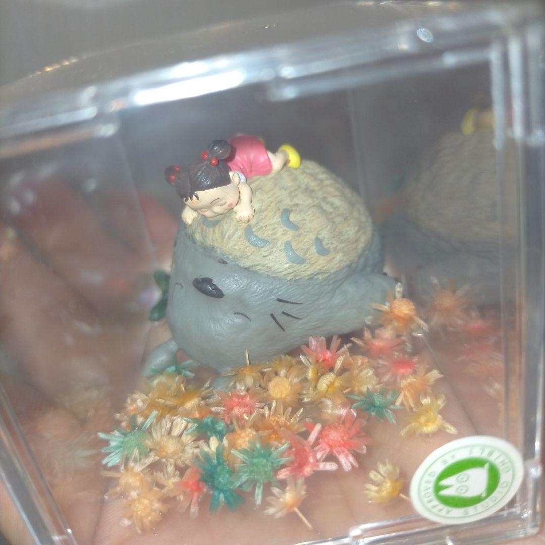 廃盤‼️となりのトトロ トトロ メイちゃん ミニチュアフィギュア 透明ケース付き