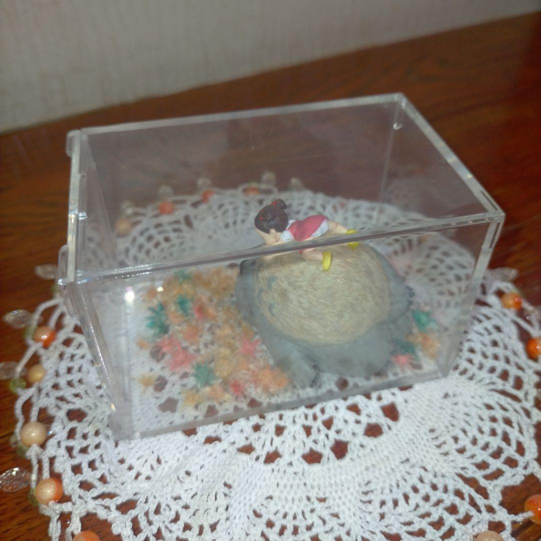 廃盤‼️となりのトトロ トトロ メイちゃん ミニチュアフィギュア 透明ケース付き