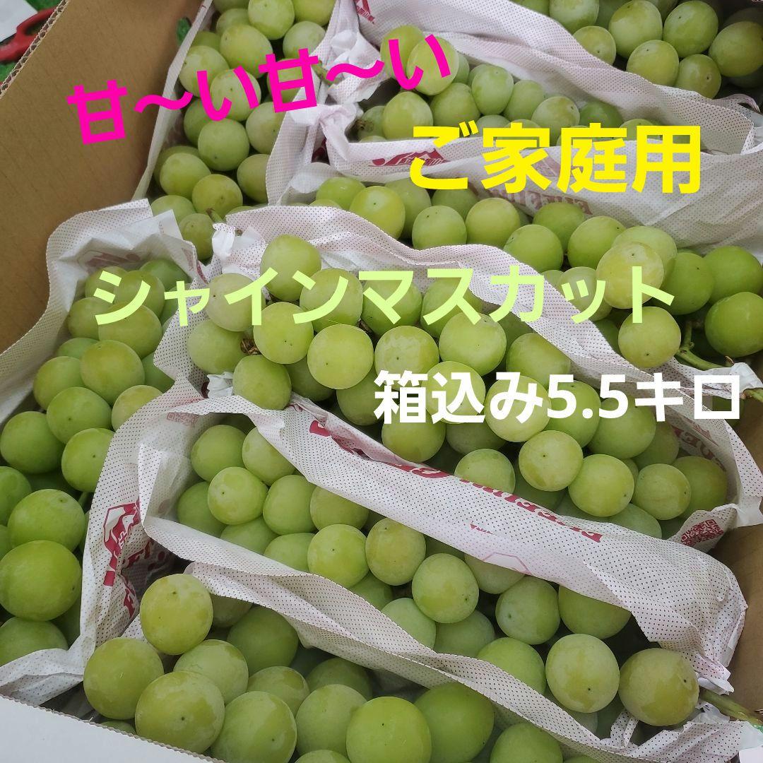 3️⃣ 山梨県産 シャインマスカット８房入り 箱込み5.5キロ