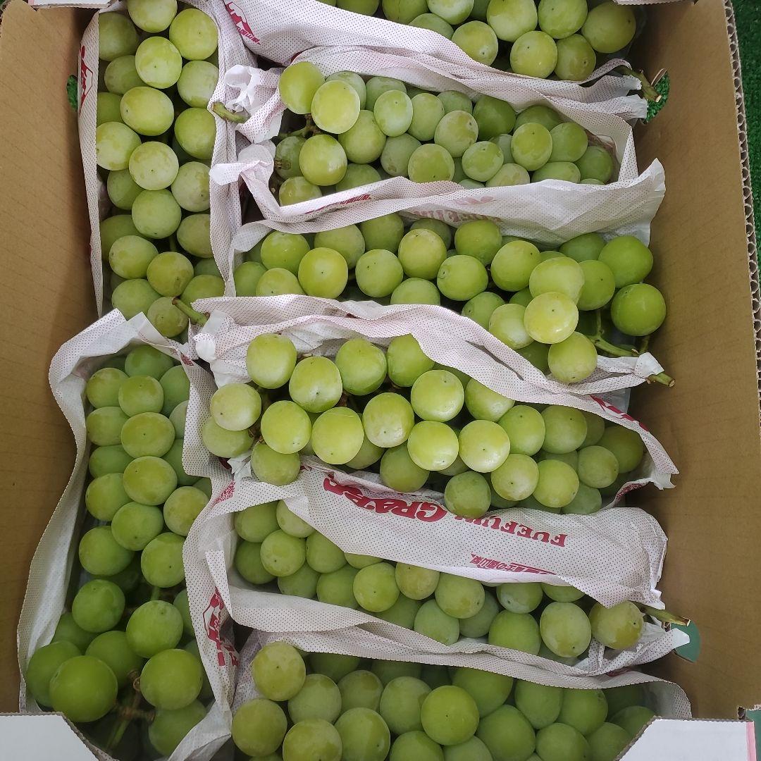 3️⃣ 山梨県産 シャインマスカット８房入り 箱込み5.5キロ