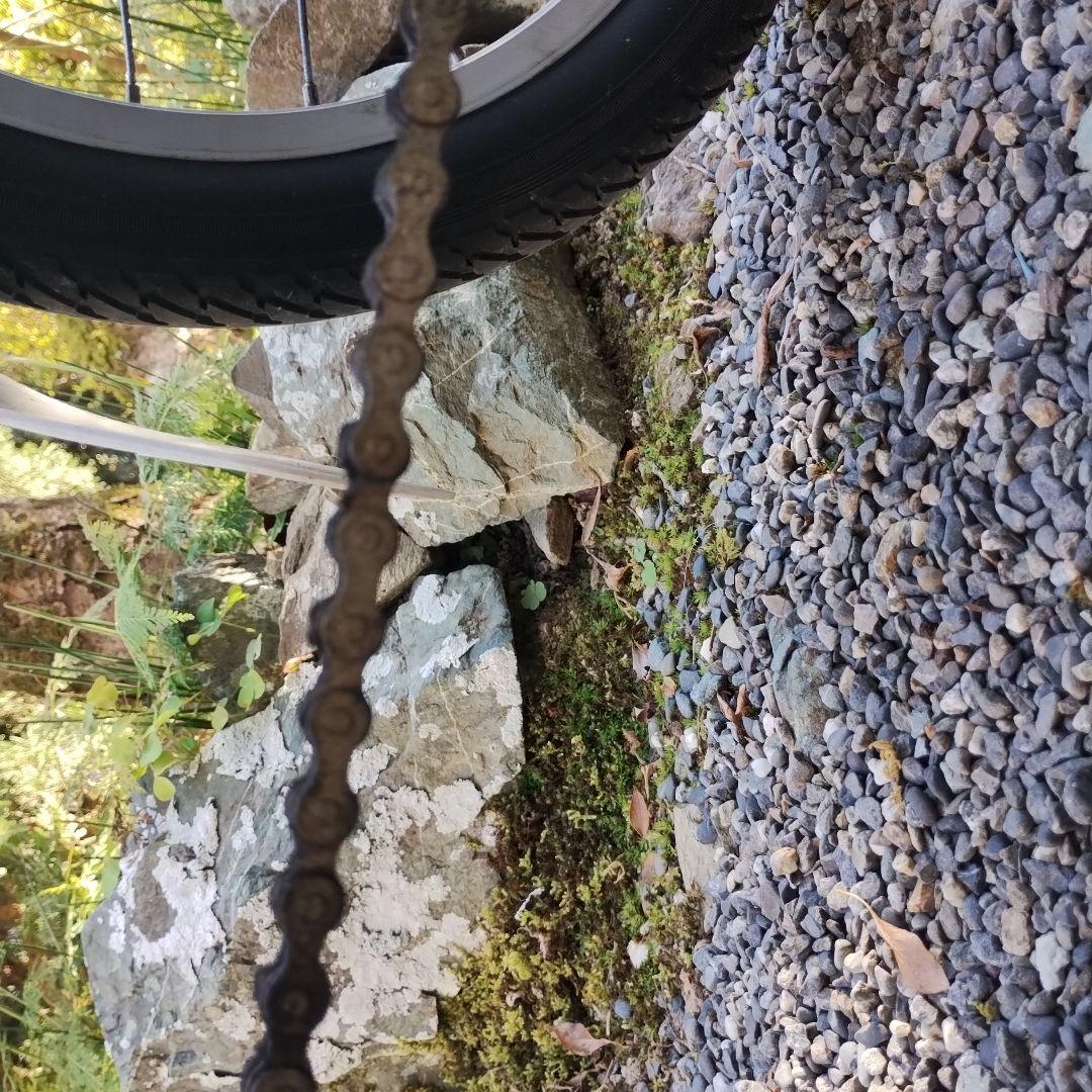 Jack 様限定 ブリヂストン 電動アシスト三輪車