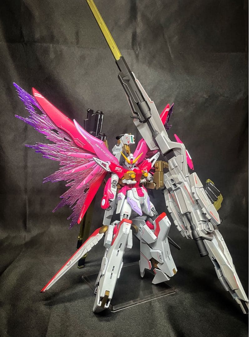 N*T様 ガンプラ完成品HG デスティニーガンダムspecⅡ & ゼウスシルエッ