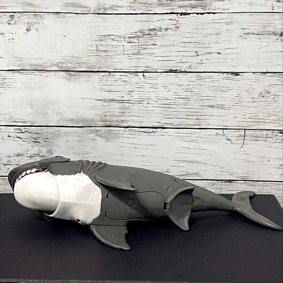 メガロドン　アクションフィギュア　ティラノサウルス付き