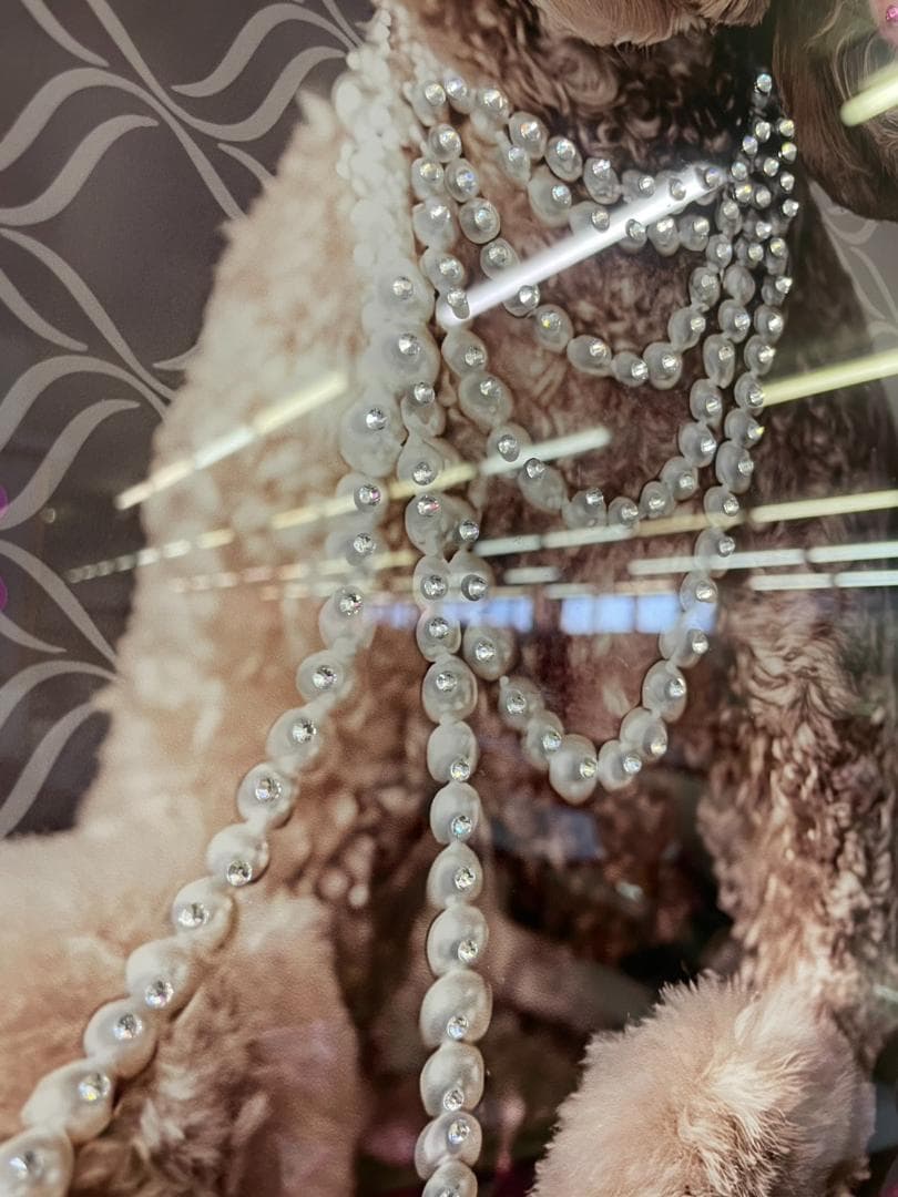 キラキラ　パネルアート　プードル　アート　絵画　絵　ポスター　壁掛け　額縁　犬