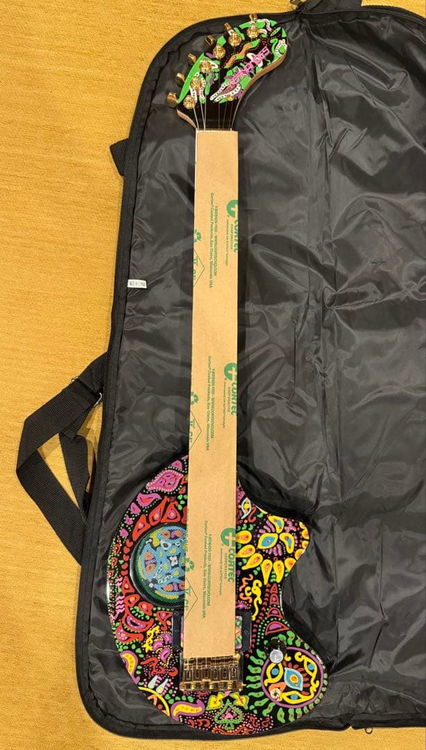 FERNANDES ZO-3 hideモデル フェルナンデス