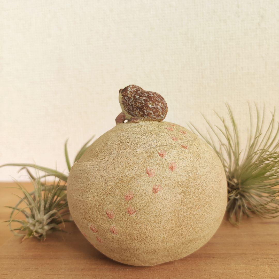 ハリネズミの一休み　Mサイズ