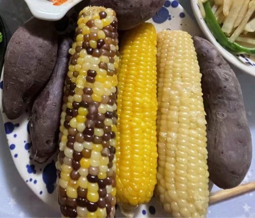 新入荷♪糯とうもろこし60本入セット【白糯20本と黄糯20本と彩糯20本】