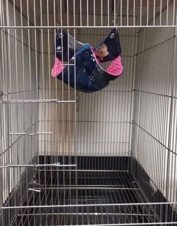 モモンガハウス(SMILEY  FACE)  夏仕様  涼しい夏生地を使用❗️