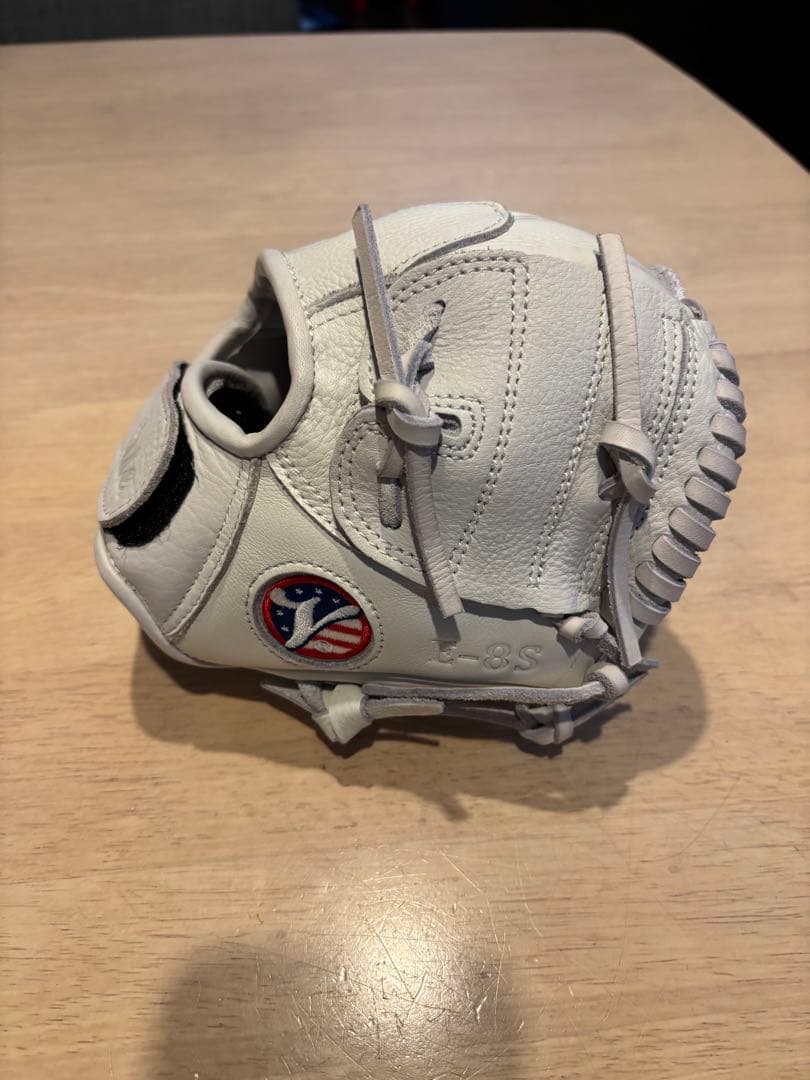 Vallie イーグル8s トレーニンググラブ
