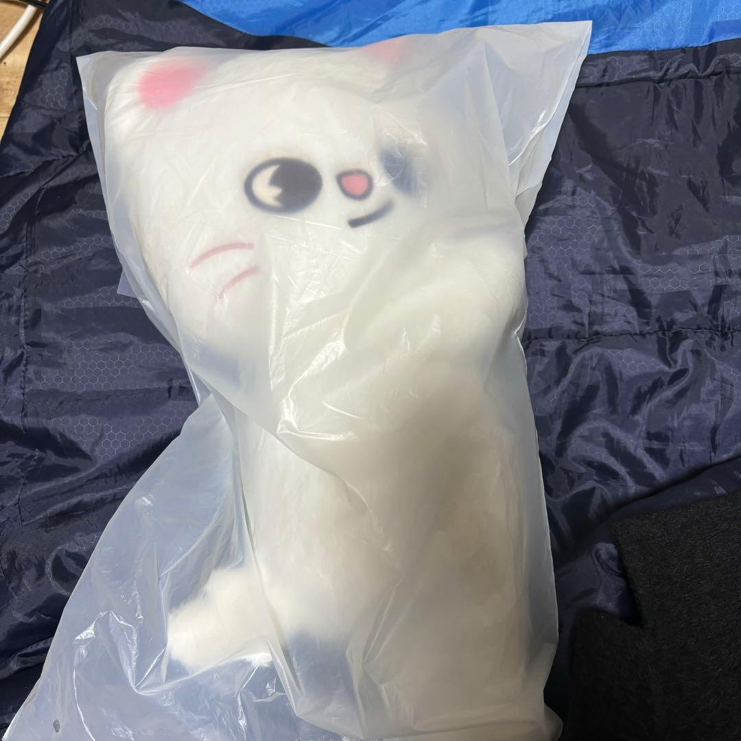 straykids celebrATE プラッシュバッグ ジニレット