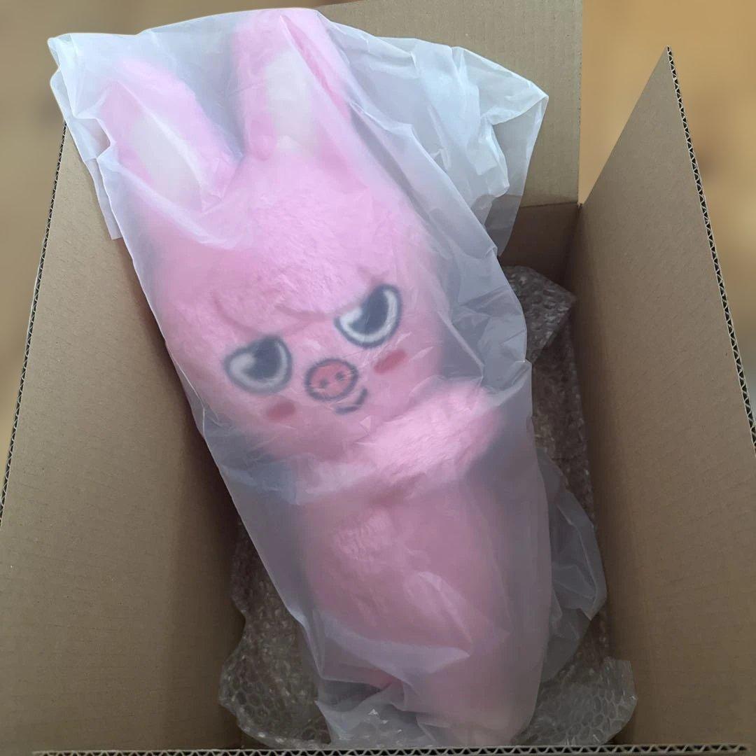 stray kids skzoo PLUSH BAG チャンビン DWAEKKI