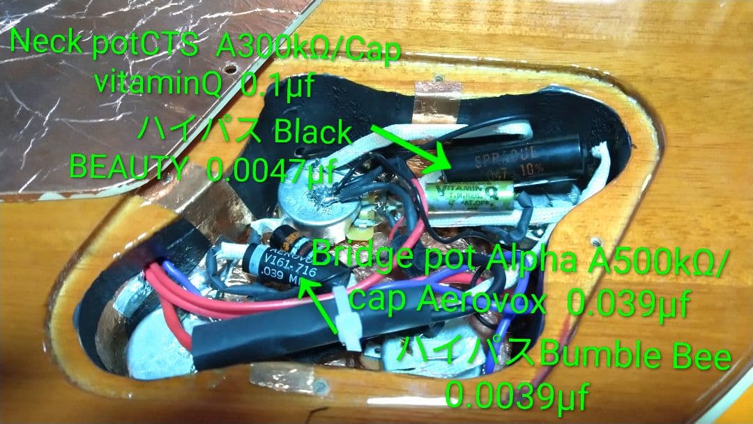 ♪Epiphone Les Paul 100 ＊「改Pickup P-90」