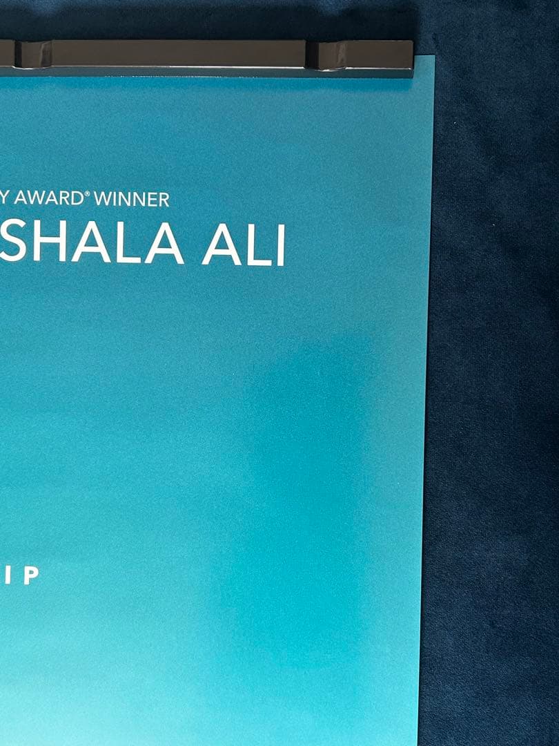 グリーン・ブック　USオリジナル映画ポスター